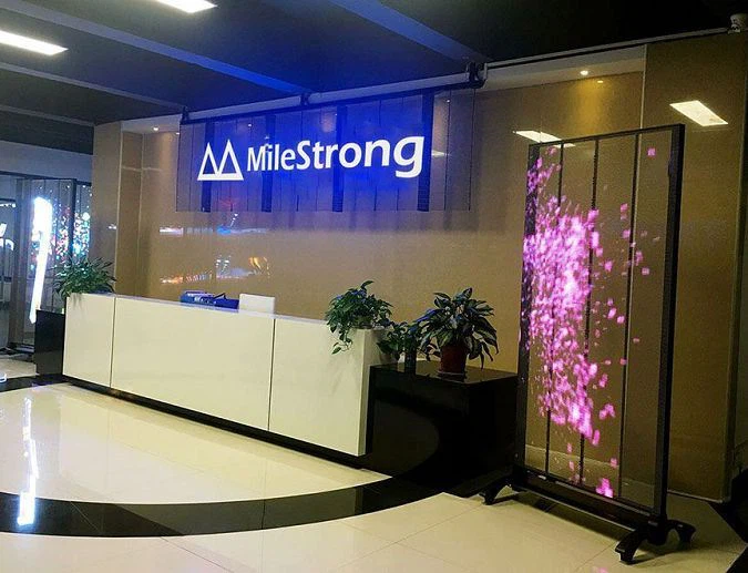Shenzhen  MileStrong  Teknik  Co.,  Ltd.